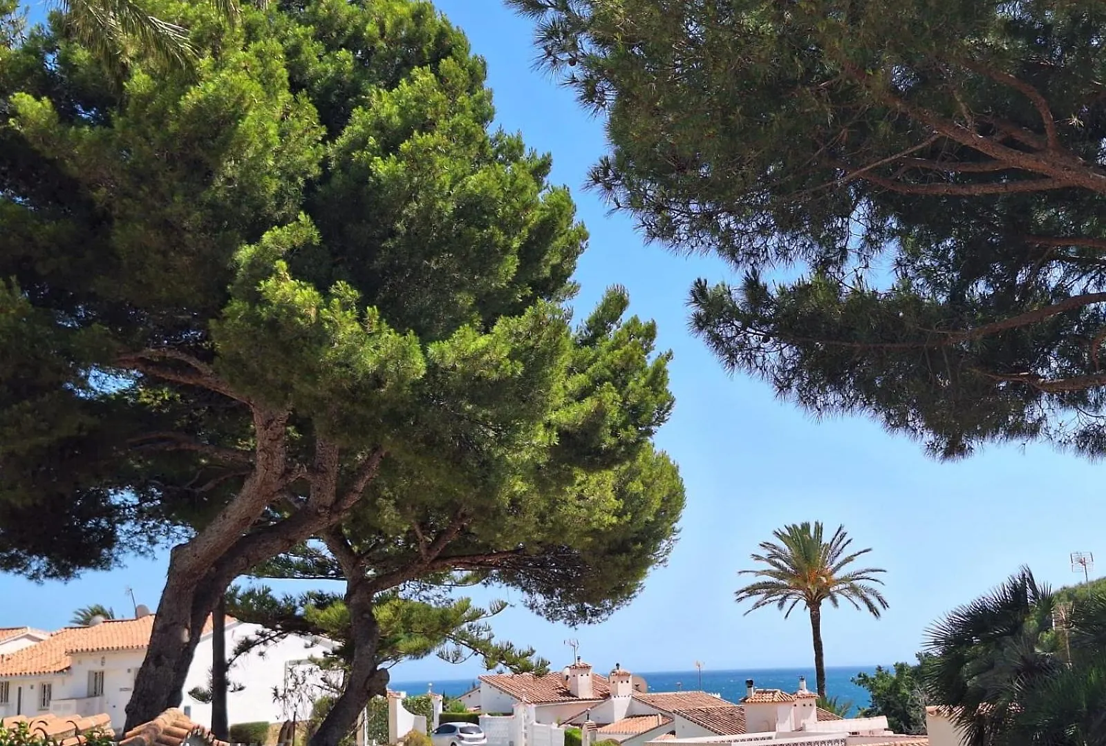 Apartamento La Casa Catharina Málaga